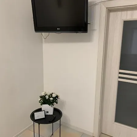 Naukova Street Apartment *
