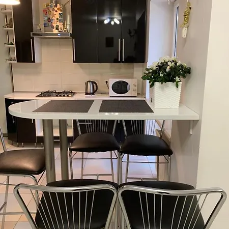 Naukova Street Apartment *