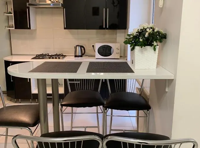 Naukova Street Apartment *